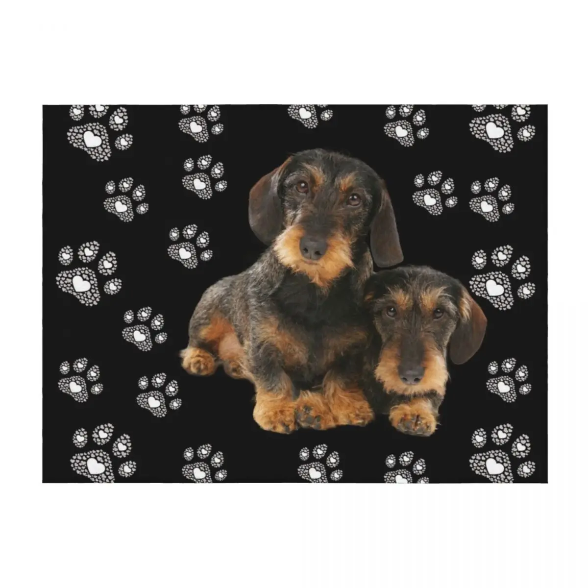 

Dachshund wire-haired, paws, paws, dachshund, wire-haired dachshund looks funny Throw Blanket Tourist Plaid Thermal Blankets