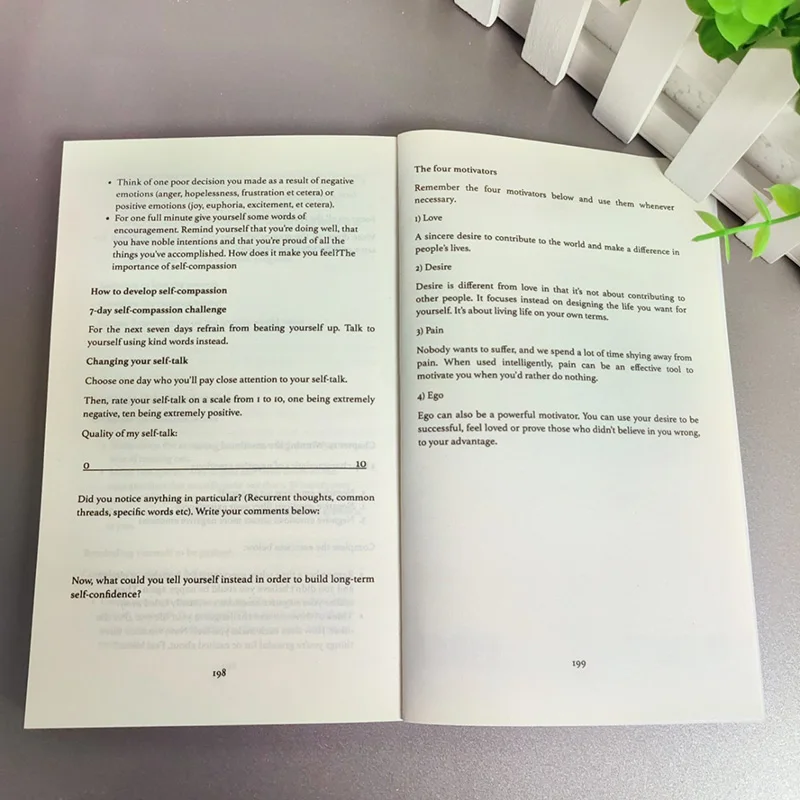 English version Master Your Beliefs Thibaut Meurisse English Books Self management of classic literature