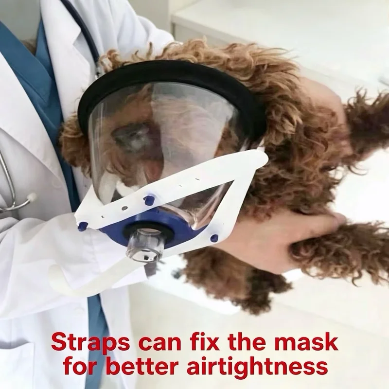 Used For Pet Aerosol Inhalation, Transparent Oxygen Therapy For Dogs And Cats, Veterinary Anesthesia, Oxygen Mask Accessories