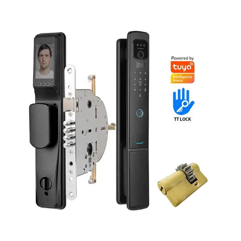 Smart Fingerprint and Facial Recognition Door Lock Fireproof Electronic Cloud System with Graffiti Design for Home Security