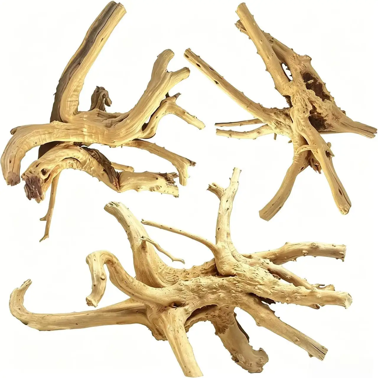 Natural Small Spiderwood Driftwood Eco-Friendly Modern Aquarium Decor For Reptile & Fish Tank