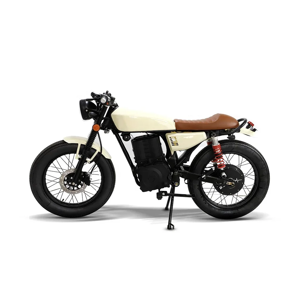 STROVAN  MotorcycleProfessional Manufacturer Customizable 1800W Fat Tire High Speed Electric Bike Motorcycles