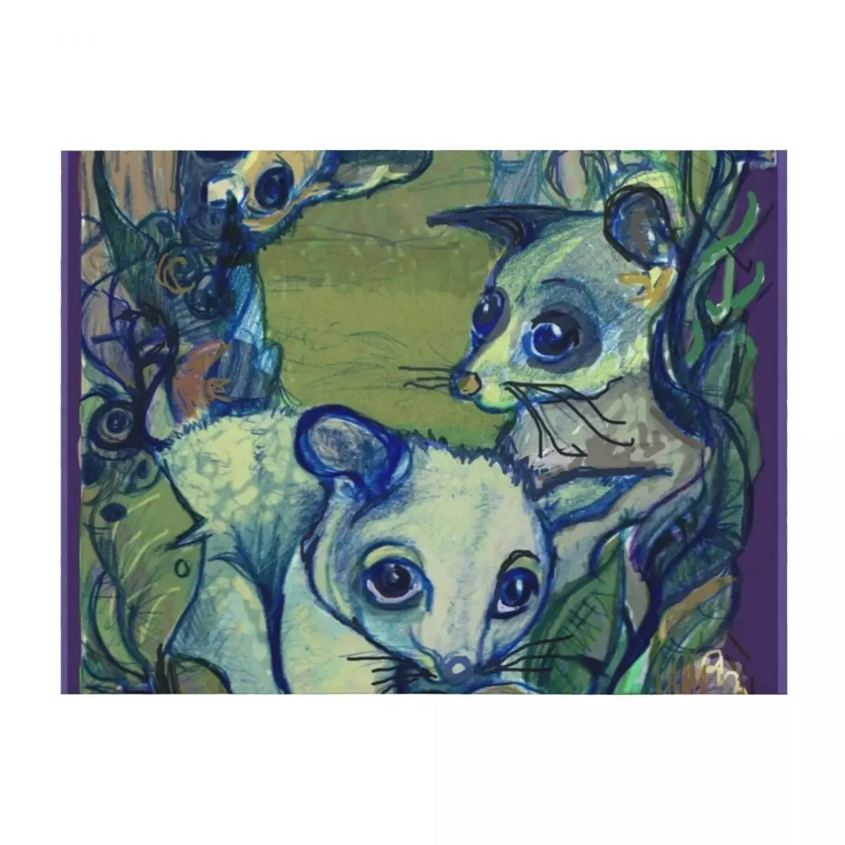 

Brushtail Possum (Trichosurus vulpecula) Throw Blanket Flannels Custom Plush Stuffeds Blankets