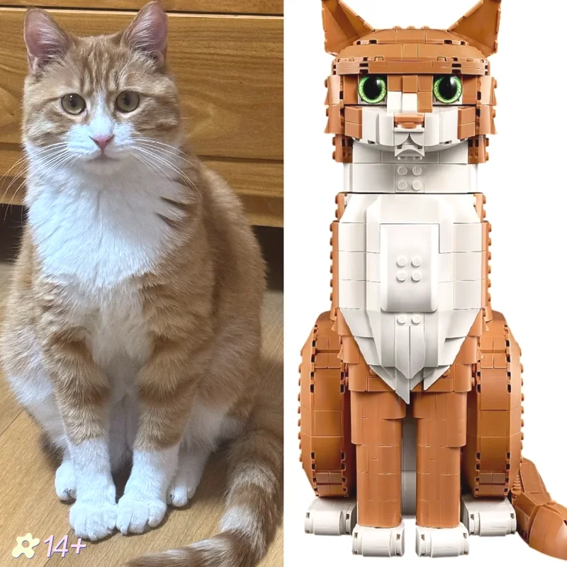 nuovo-set-di-costruzioni-gatto-arancione-carino-2026-modelli-cucciolo-e-gatto-21376-21349-11384-giocattolo-regalo-di-compleanno-per-bambini-e-adulti