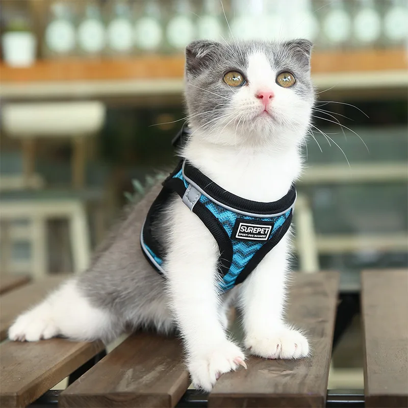 Cat Leash Cat Chest Strap Cat Vest Anti-break-free Cat Dog Chain Dog Rope Walking Cat Rope Pet Supplies Cat leash Dog collar