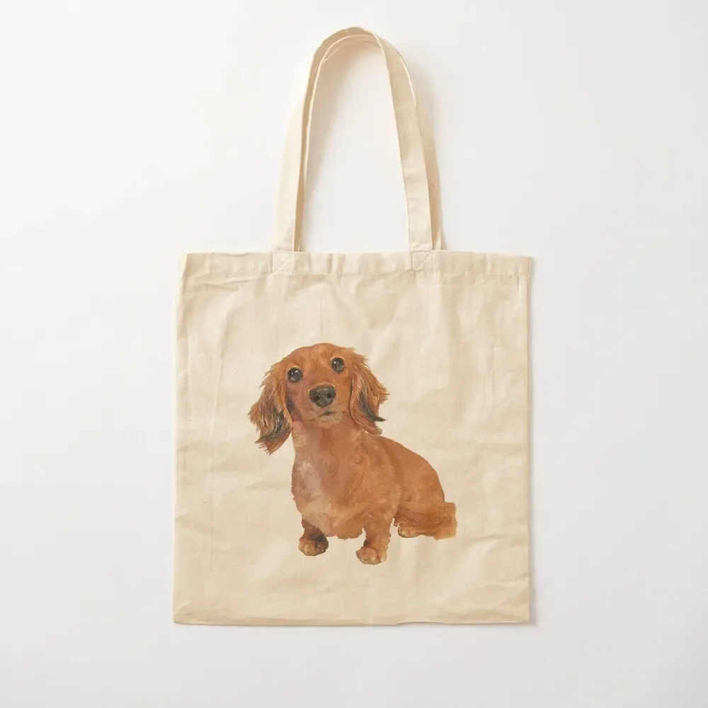 Cute Long Haired Dachshund Painting Tote Bag supermarket folding bag handbag Tote Bag