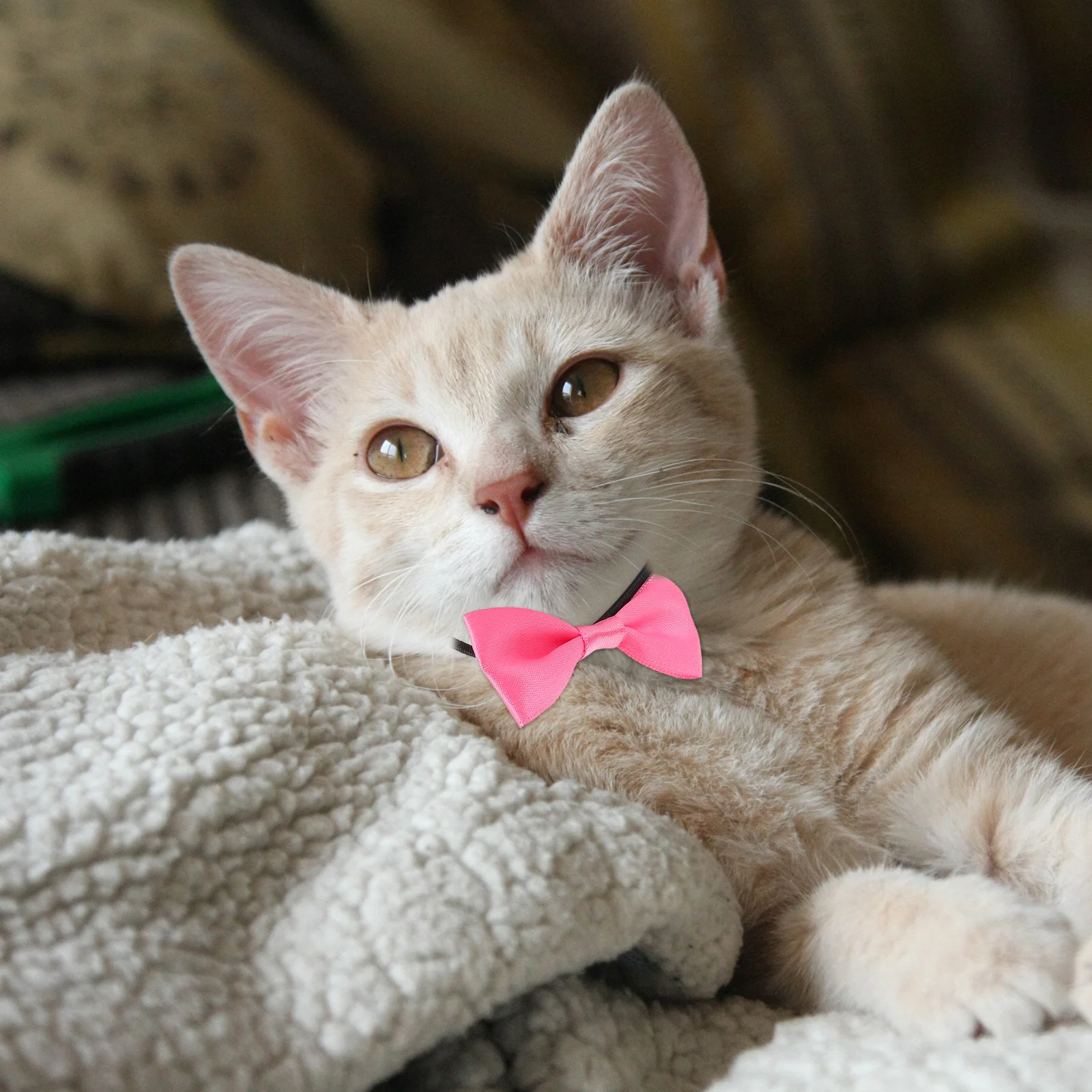 

1Set Decorative Pet Hat and Bow Tie Set Premium Cloth Material Adorable Bunny Hamster Costume Party Supplies Mini Hamster Hat