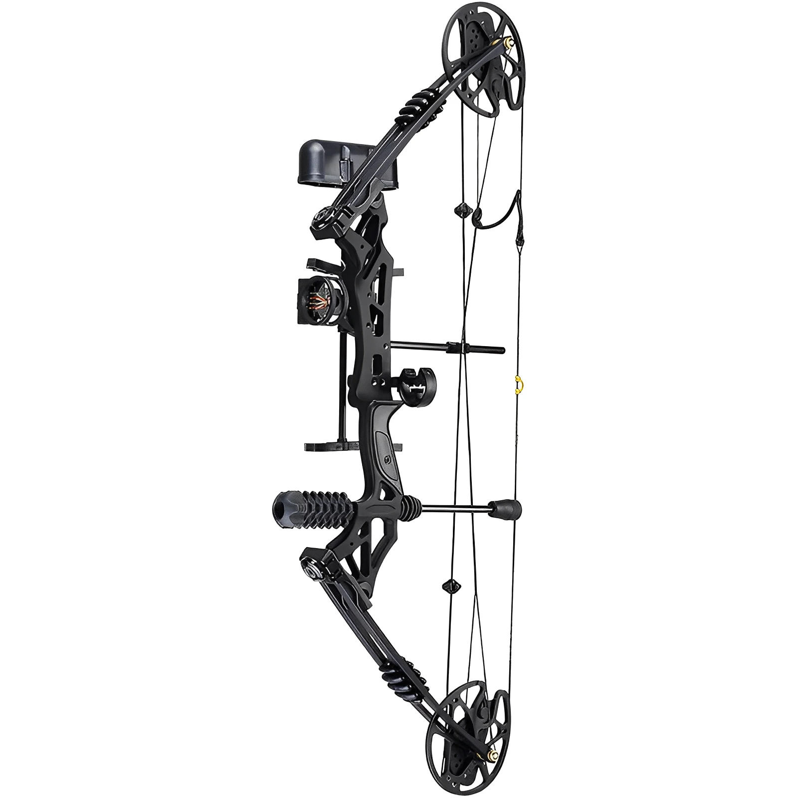 

Right/Left Hand Compound Bow Set 30-70lbs Adjustable 320fps Archery Hunting Target Let-Off 80% Bow Riser Aluminum alloy