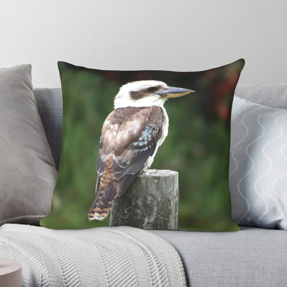 Australian Kookaburra Square Pillowcase Polyester Linen Velvet Printed Zip Decor Sofa Cushion Cover