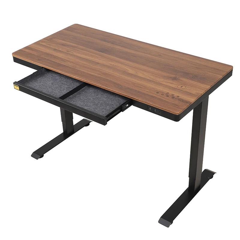 Electric Height Adjustable Standing Desk with Wood Top, Ergonomic Sit-Stand Workstation for Home Office