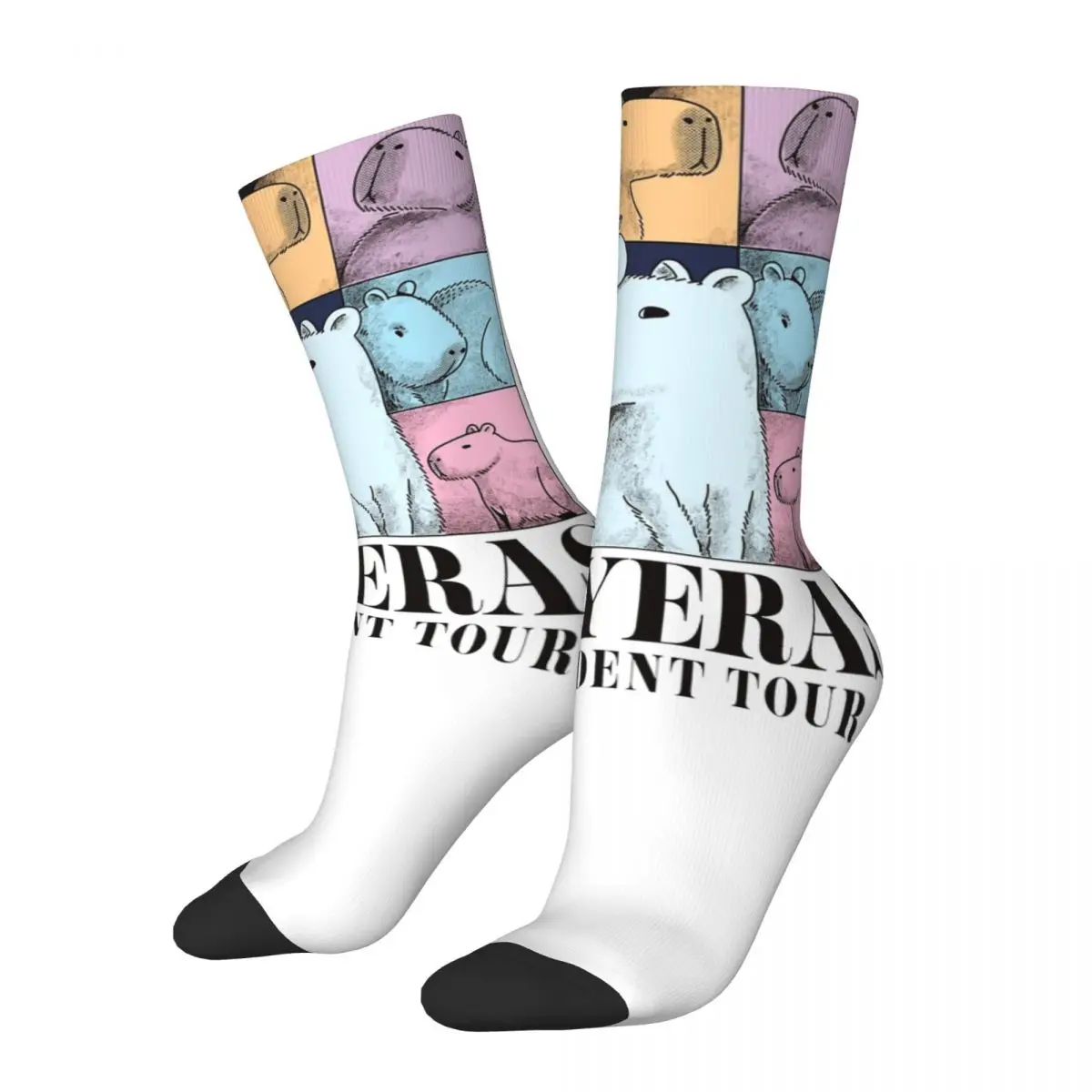 Capybara Socks Men Women Fashion Socks Harajuku Spring Summer Autumn Winter Middle Tube Stockings Gift