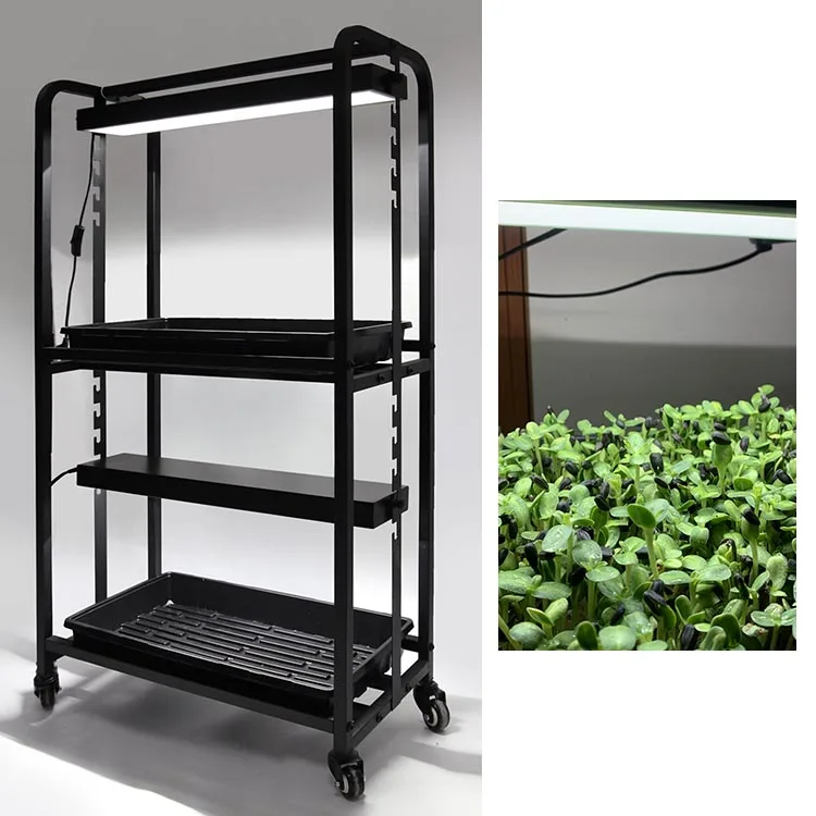 Indoor Gardening Two Tray Wheatgrass Microgreens Growing System Racks Built in Wide Spectrum Grow Lights Plant Grow Stand