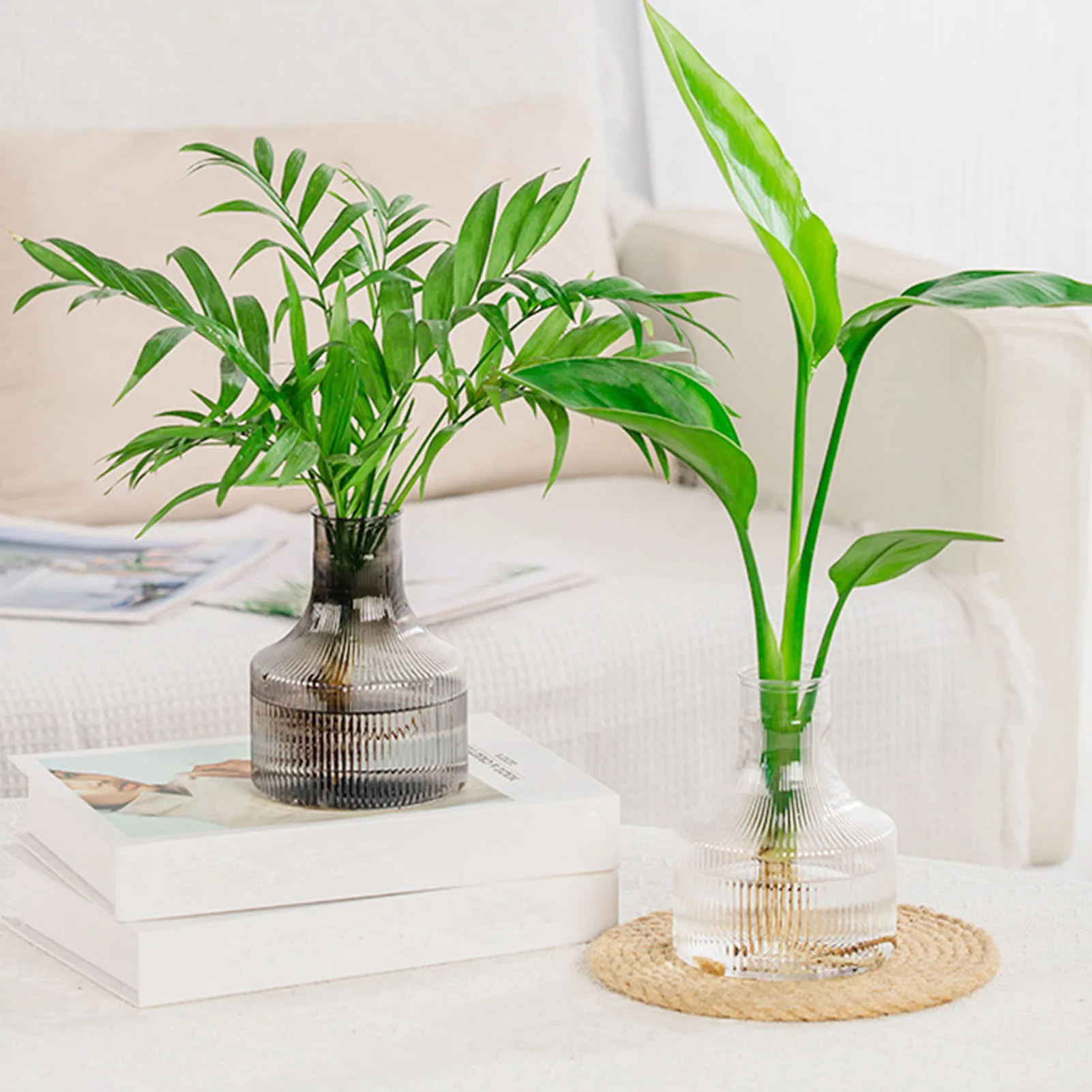 Hydroponic Plants Flower Pots Large Capacity Clear Water Planting Glass Vases for Home Office Study Decoration