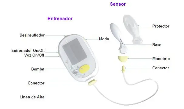 0010CK Beckenbodenmuskeltrainer Kegel-Trainingsgerät Biofeedback für die vaginale Physiotherapiegeräte für Frauen