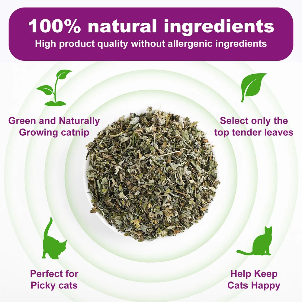 100% النعناع البري الطبيعي والنعناع البري النقي لصديقك فروي طعم مضحك القط لعبة جديدة لعبة القط التفاعلية مستلزمات الحيوانات الأليفة