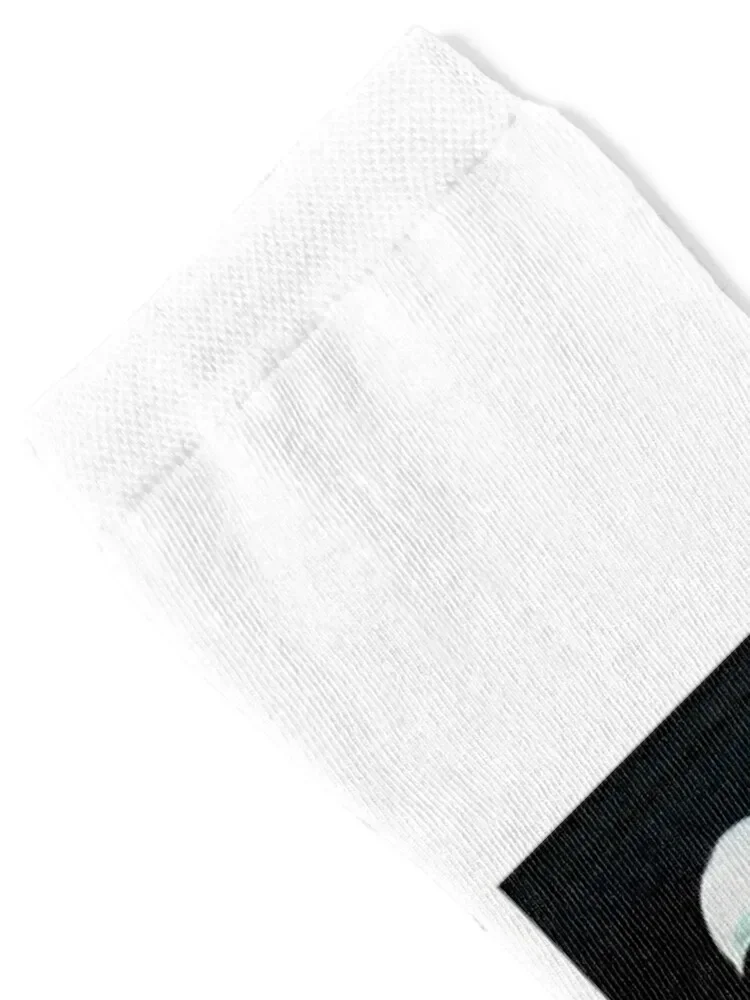 Relampada Socks christmass gift hip hop men cotton high quality floor Men's Socks Women's