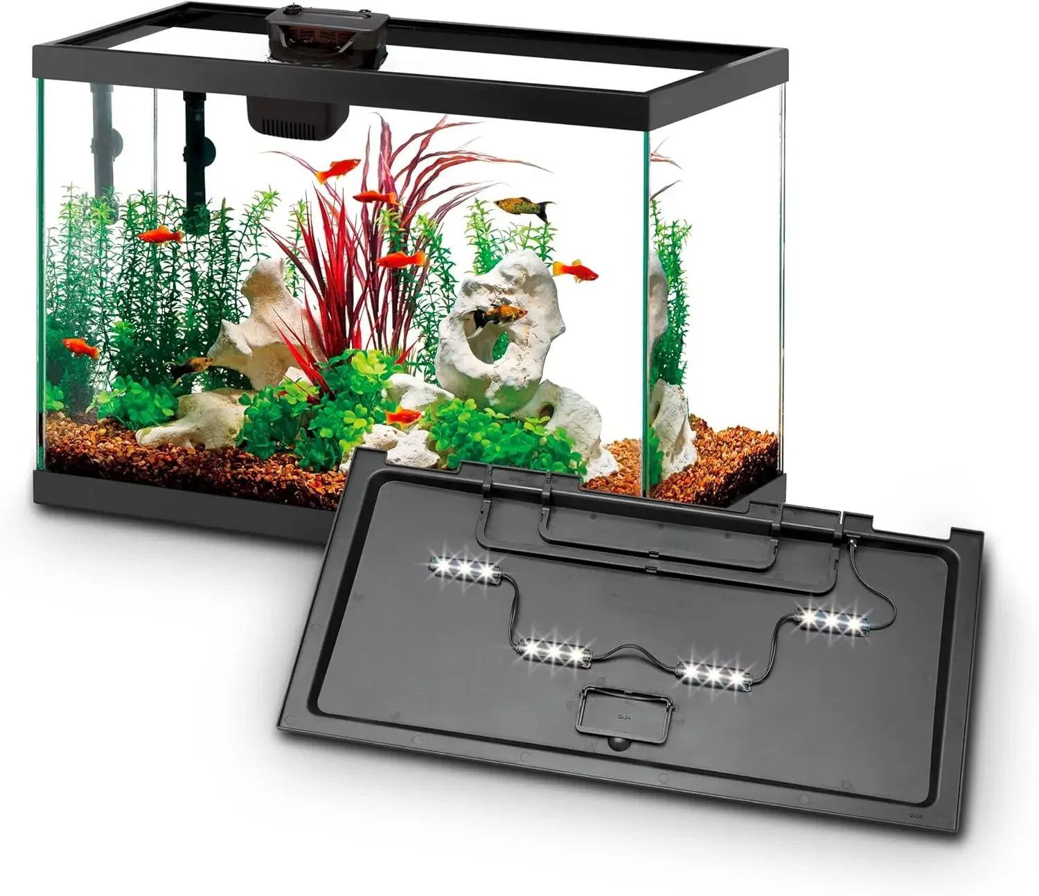Aquarium Starter Kit with Smart Clean Filtration and LED Lighting, Freshwater and Saltwater Fish, 20-Gallon