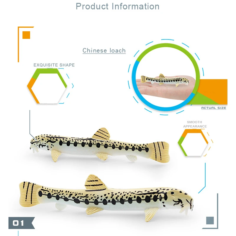현실적인 동물 장난감 물고기 모델 중국산 로치 코비티스 시넨시스 PVC 피규어 장식품 집/사무실 장식 수집용 장난감