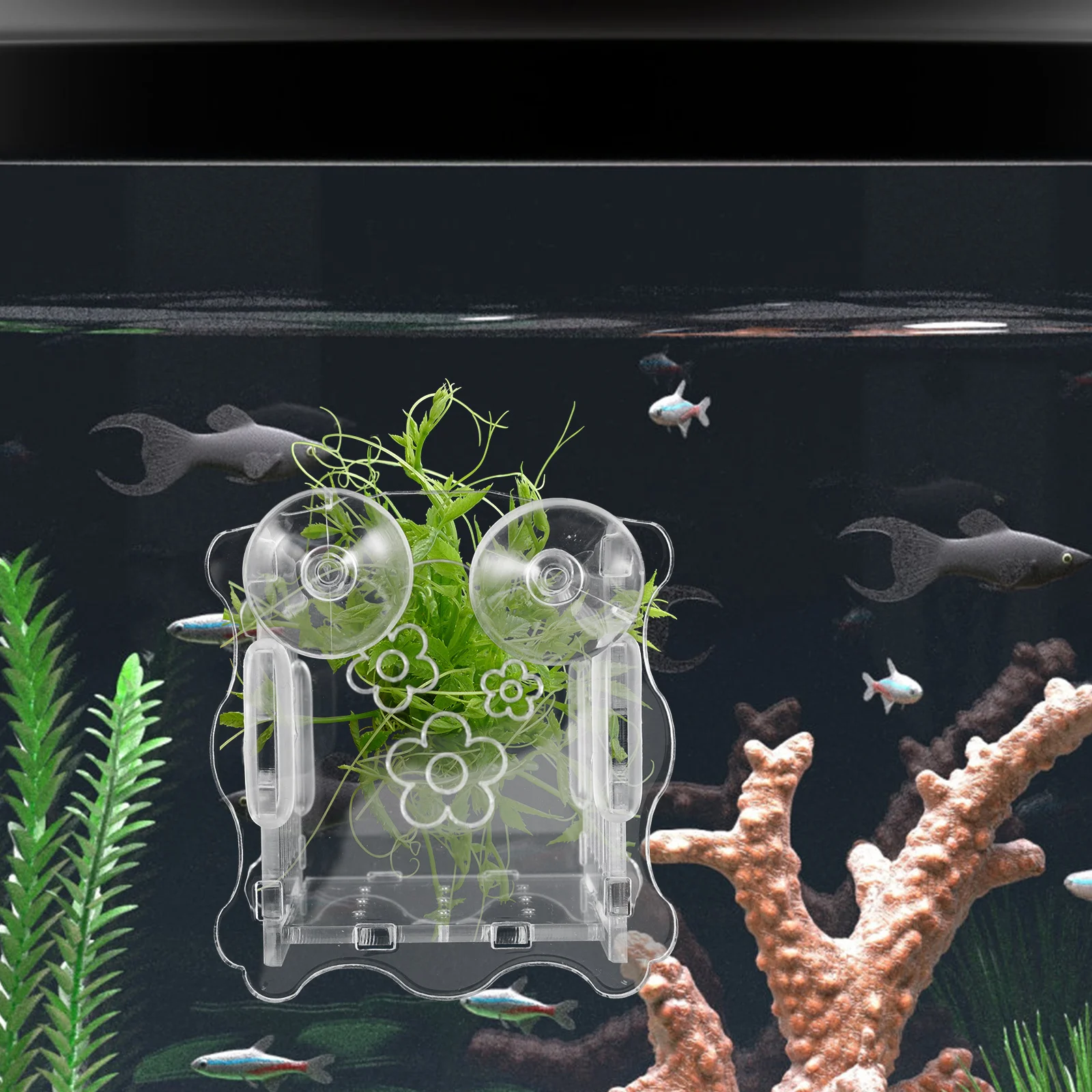 

Transparent Aquarium Planter Water Plant Cup Sturdy Acrylic Material Reusable Fish Tank Planter Elegant Decoration Oxygen