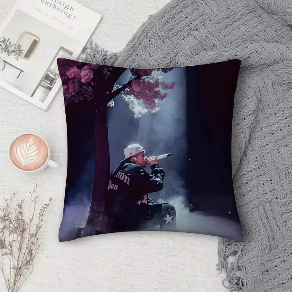 

Saiko Singer Sakura Pillow Case Square Double-Sided Printing Short Plush Sofa Cushion Cover Bedroom Bedside Pillow