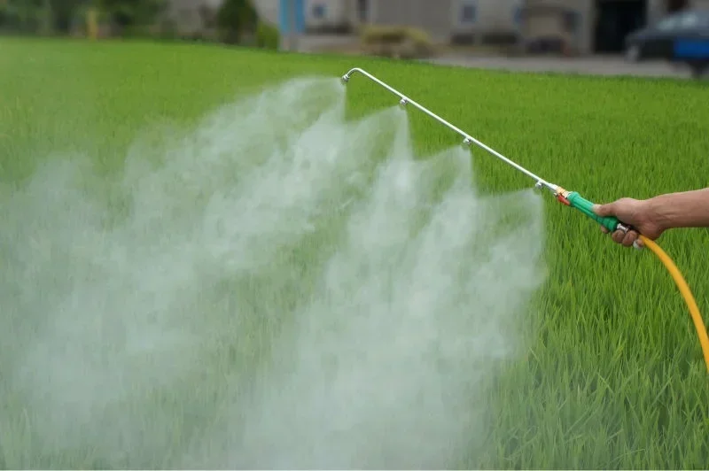 Professionelles Benzin-Rucksack-Sprühgerät – Doppeltyp, Rucksack-Sprühgerät