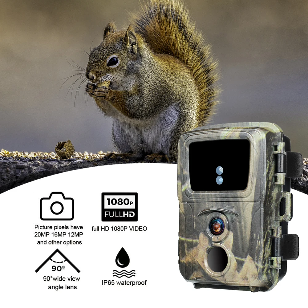 Suntekcam Cheapest Hot Sale 20MP 1080P Hunting Trail Camera Outdoor Waterproof Wild Camera Photo Trap With Night Night MiNi600