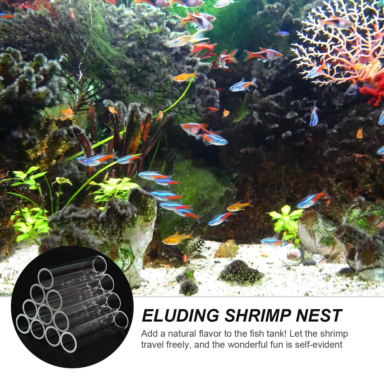 1 قطعة عش الروبيان الشفاف الاكريليك إخفاء كهف تربية المأوى خزان الأسماك التفريخ حفرة حوض السمك الديكور عش الروبيان