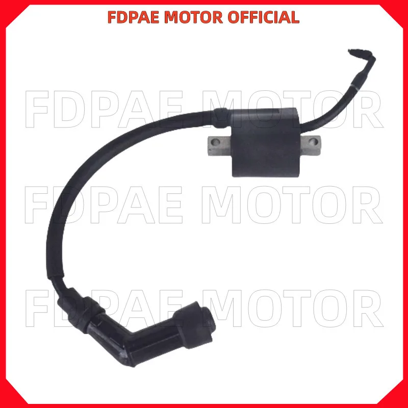 

High Voltage Package Ignition Coil Assembly for Wuyang Honda Wh125-7-8-11-11a-11b