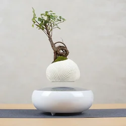 Lewitująca doniczka powietrzna Bonsai Obrotowa doniczka Doniczki Zawieszenie magnetyczne Pływająca doniczka Roślina doniczkowa Dekoracja biurka domowego