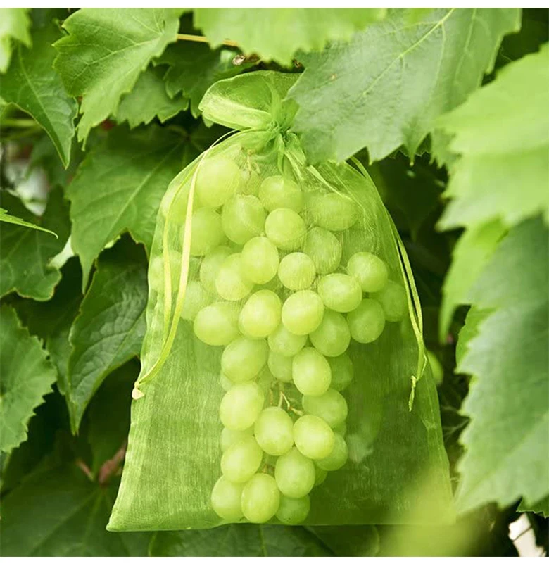 20-100 stücke Erdbeere Trauben Obst Wachsen Taschen Netting Mesh Gemüse Pflanzen Schutz Taschen Für Schädlingsbekämpfung Anti-vogel garten Werkzeuge – Detail 5
