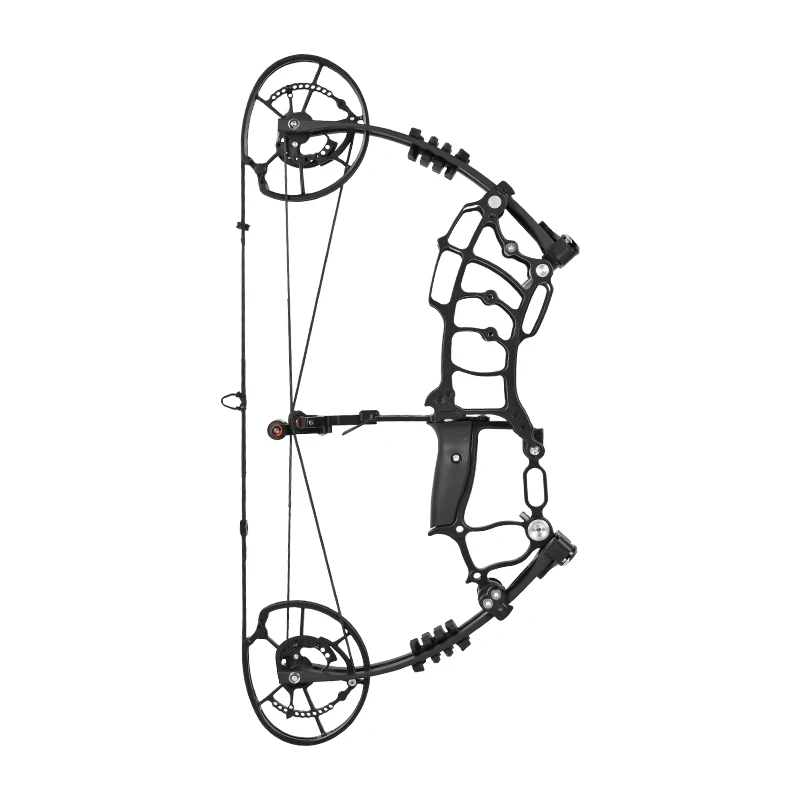 Archery Compound Bow and Arrow Set Steel Ball Arrow Dual Purpose Composite Pulley Bow Outdoor Hunting Fishing Shooting Equipment view 3