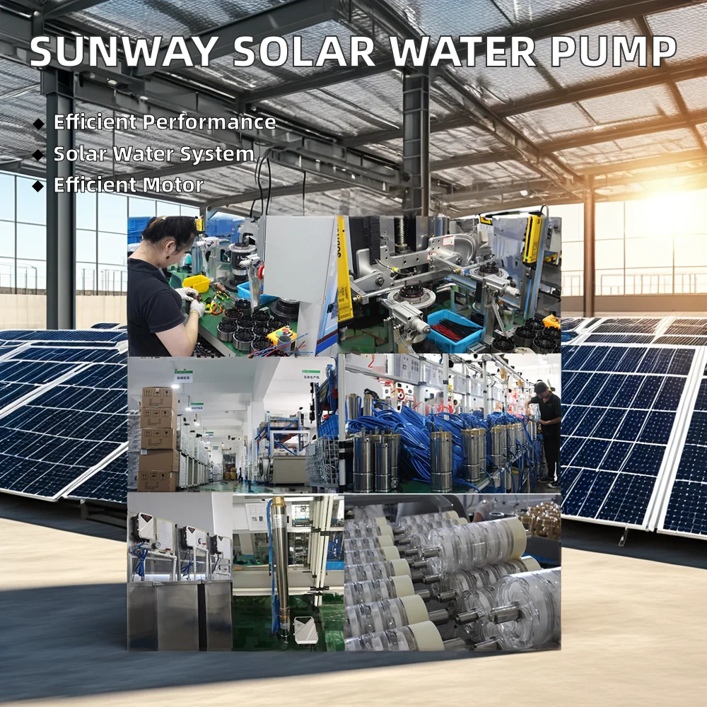 Pompa solarna głębinowa Sunway 3 cale, 0,75-2 KM, DC, do systemów nawadniania, pompa odśrodkowa do rolnictwa