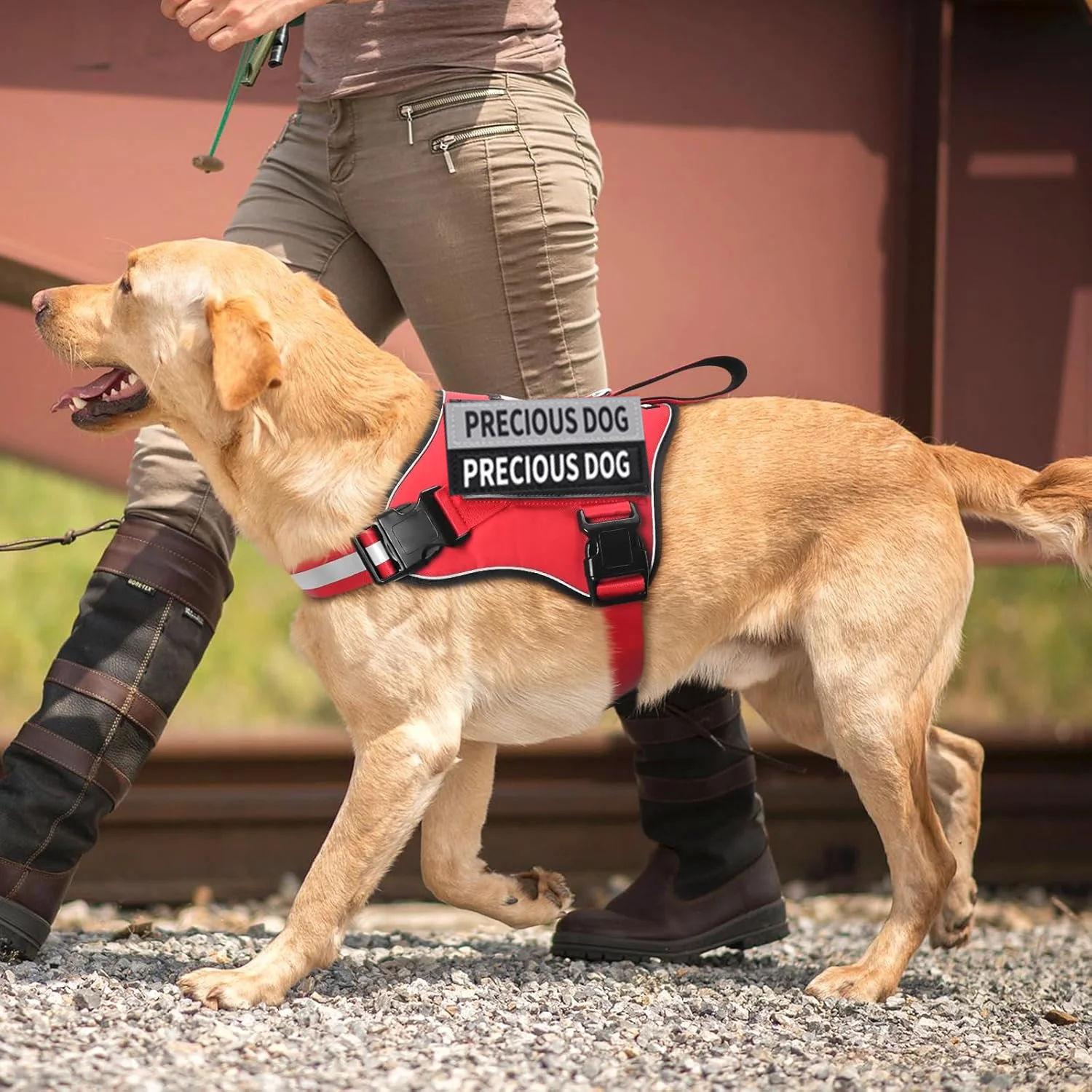Thumbnail 4 - #74 Best Dog Car Safety Harnesses to Buy In 2026