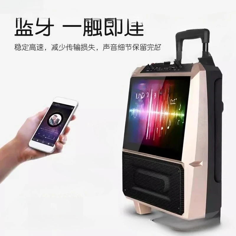 Outdoor Speaker, Portable Video Player, Wireless Microphone, Square Dance Stereo with Large Display Screen