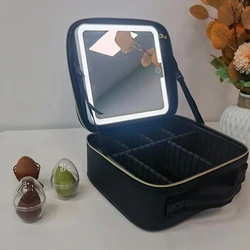 Korean Version Cosmetic Bag, Light Makeup Mirror, Portable Travel, Portable Hand, Large-capacity Skin Care Product Storage Bag