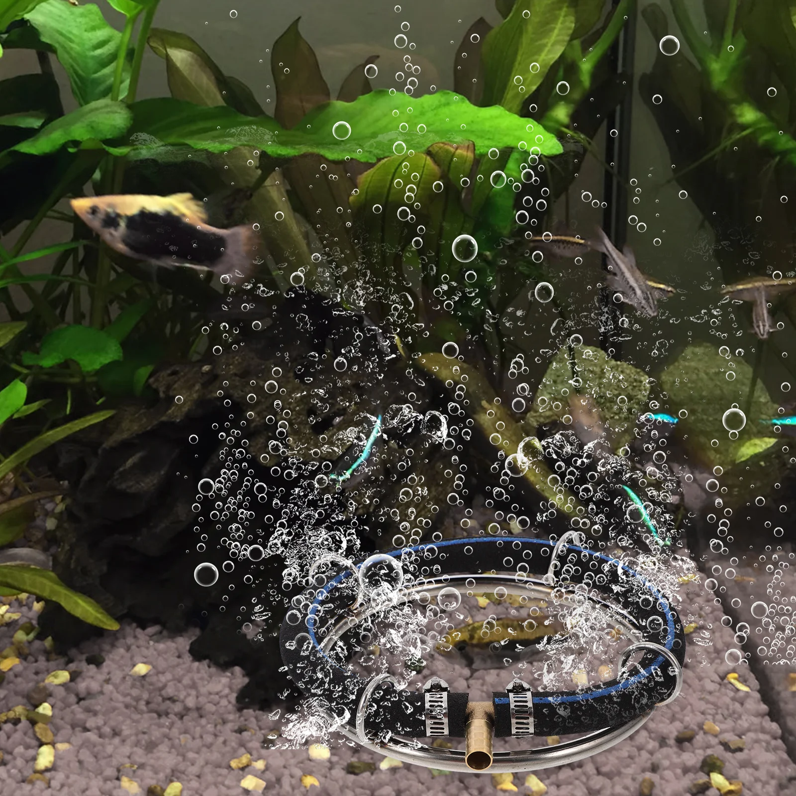 

Versatile Stainless Steel Air Stone for Aquariums Ponds Innovative Design Fine Bubbles Improve Water Quality Aquarium Stones