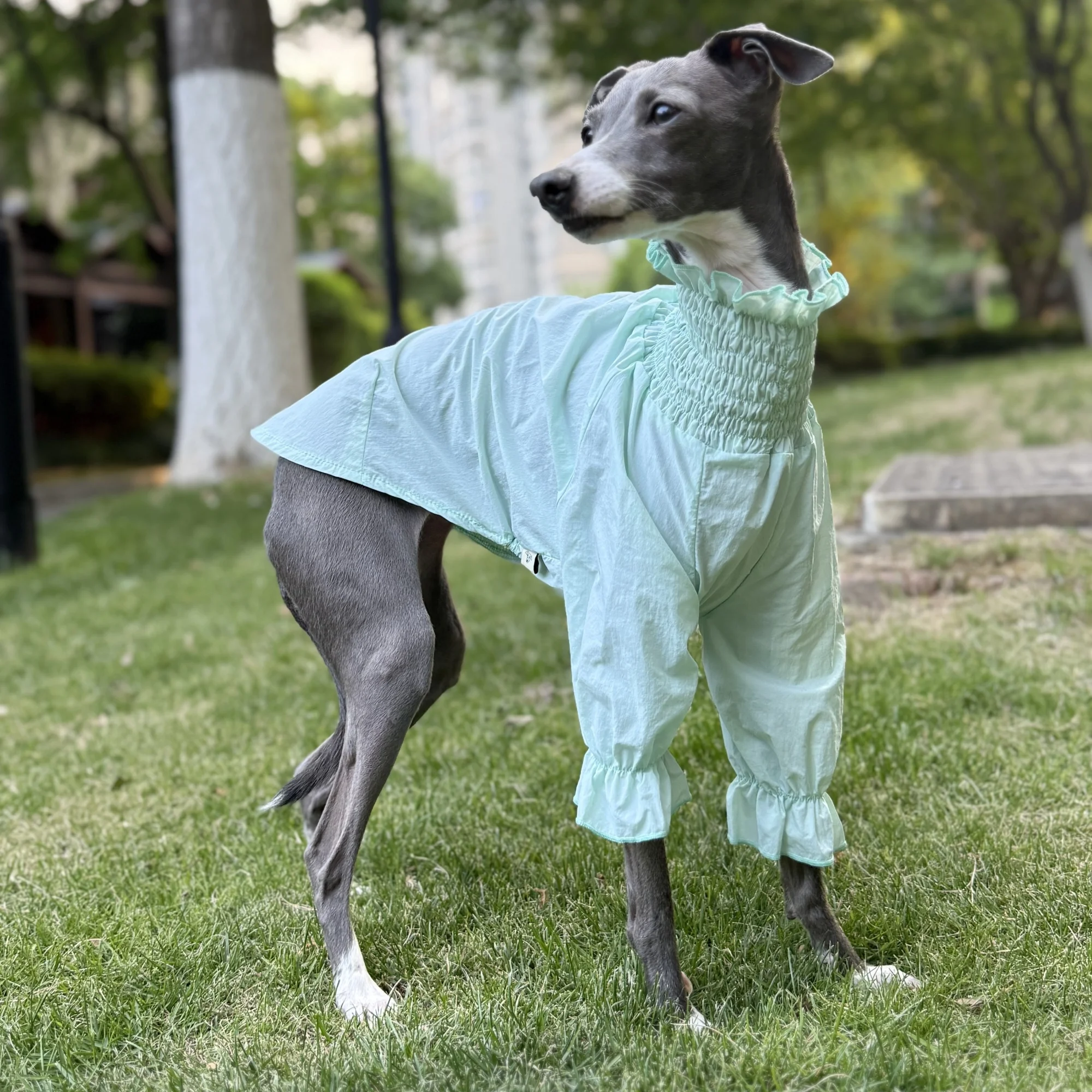 

Summer Sunscreen Bubble Lightweight UV Protection UPF100 Light Blue T-Shirt for Italian Greyhound Lace Trim Coat for Whippet
