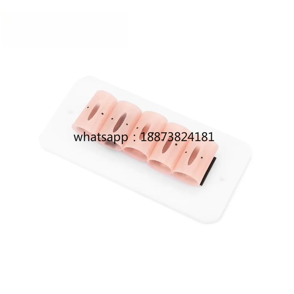 Extracorporeal / Intracorporeal Suture Module for Medical  Suture Training Module Suture fast shipping