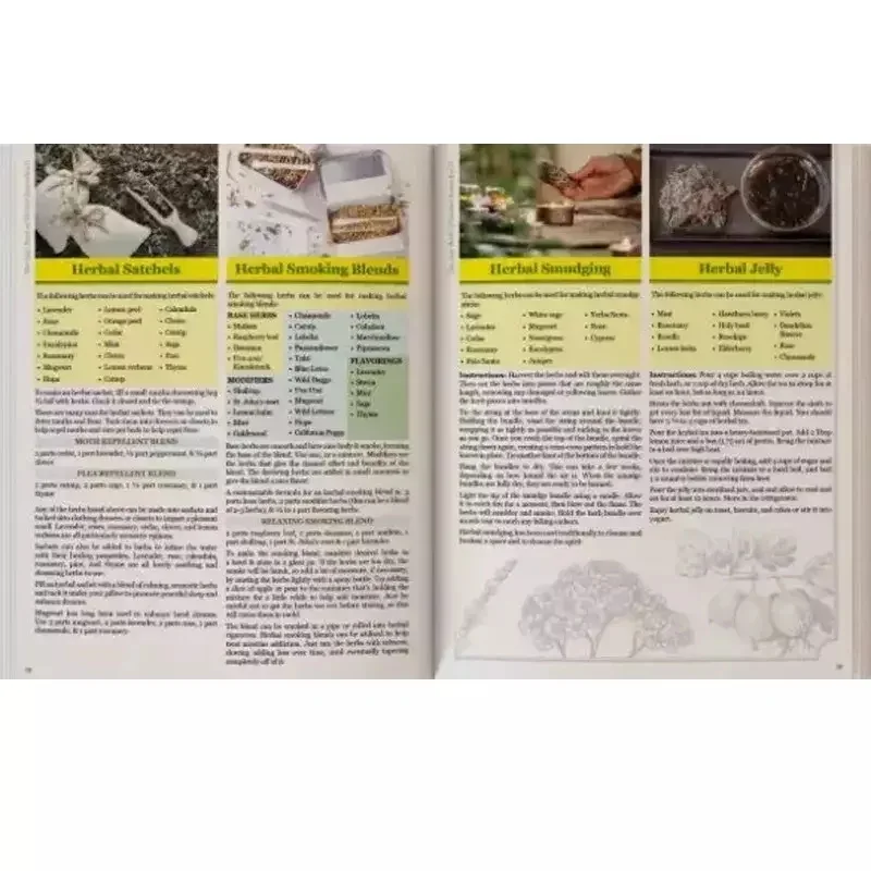 Il Libro Perduta di Erbe e Remedi Naturali II - Formato A5