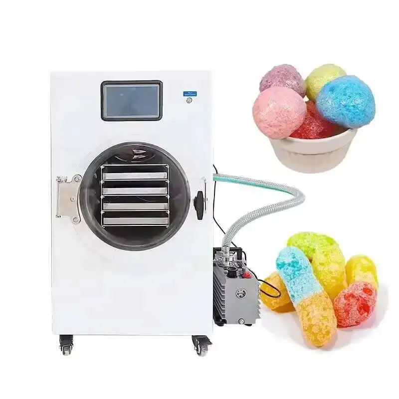 Freeze Drying Machine Vacuum Freeze Drying Machine Pet Food Fruit Dried Cordyceps Laboratory Small Freeze Drying Equipment