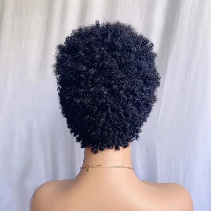8 Zoll Afro Kinky Curly Echthaar Perücke mit Raupenlocken für Schwarze Frauen, 180% Dichte, Brasilianisches Remy-Haar, Vollmaschinenperücke – Detail 2
