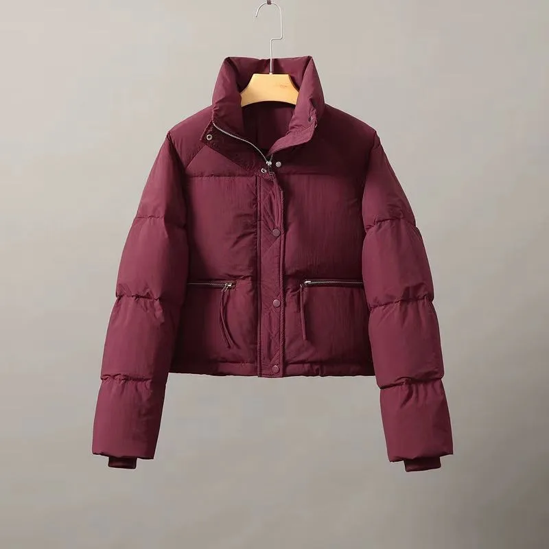 Women's Winter Down Jacket Casual Thick Metallic Fabric Stand Collar Zipper Long Sleeve Color Block Straight Fit Cotton Parka