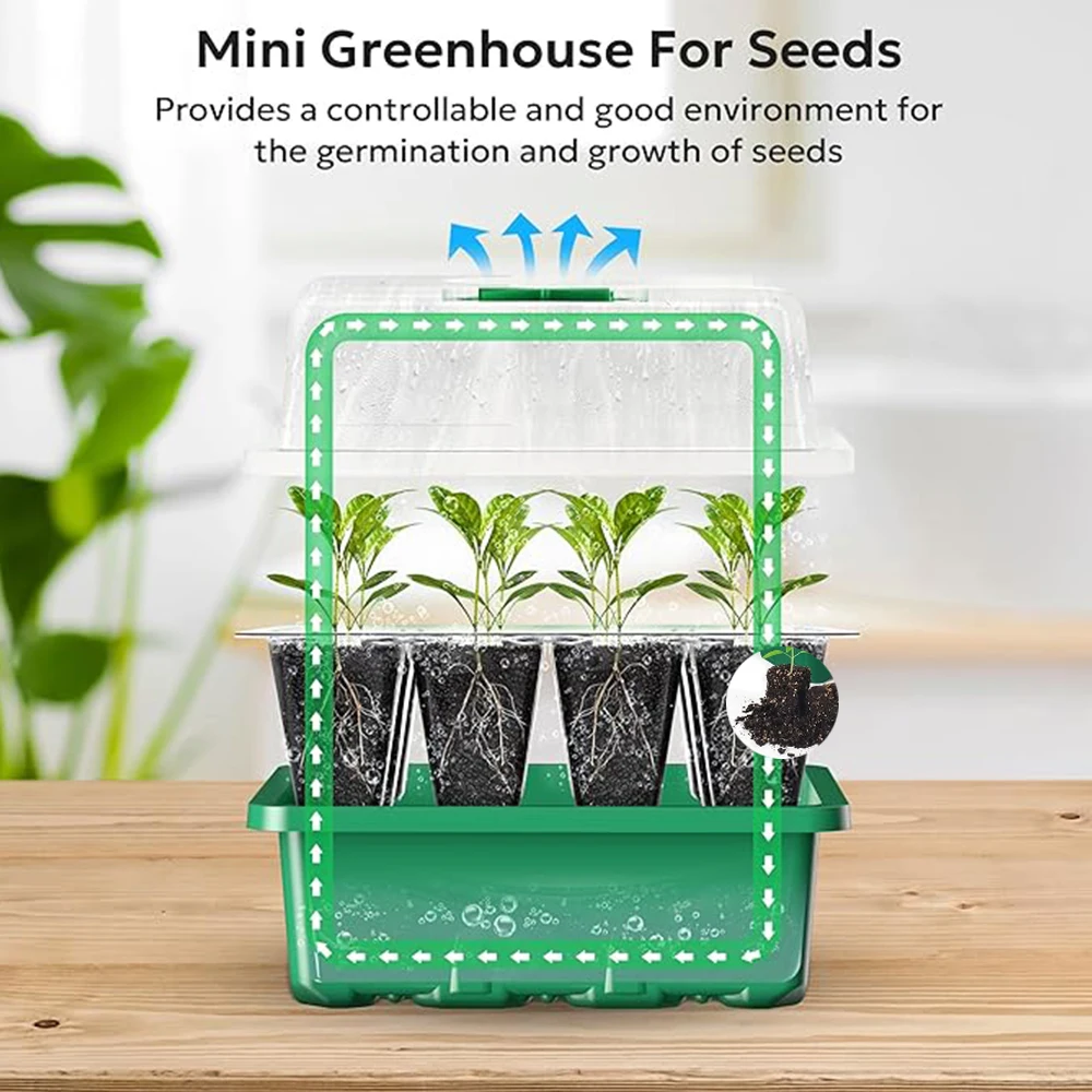 مجموعة إطلاق نباتات صينية إطلاق البذور ومجموعة إنبات الدفيئة الصغيرة الأساسية #5