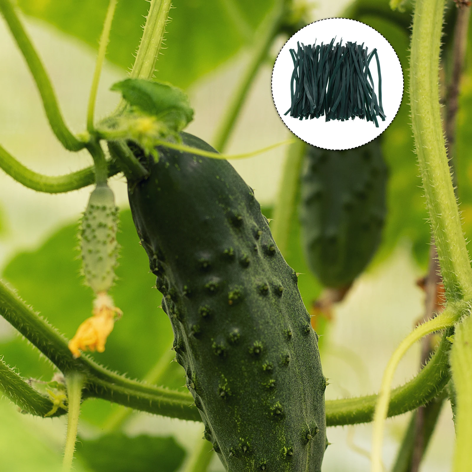 

500Pcs Plant Tree Ties Flexible Durable Plastic Wire Cable Ties Climbing Plants Binding Belts Garden Use Plants Binding Belt