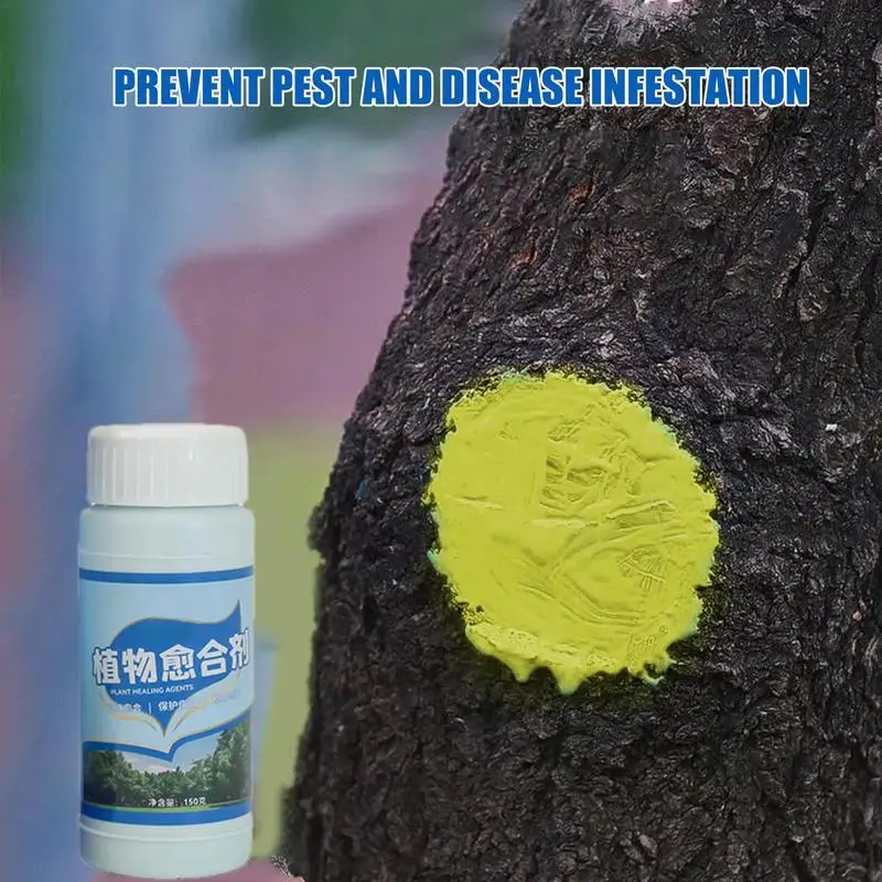 

Tree Pruning Sealer Bonsai Cutting Cream Quick Recovery Bonsai Cutting Cream Wound Repair Tools For Daily Tree Care