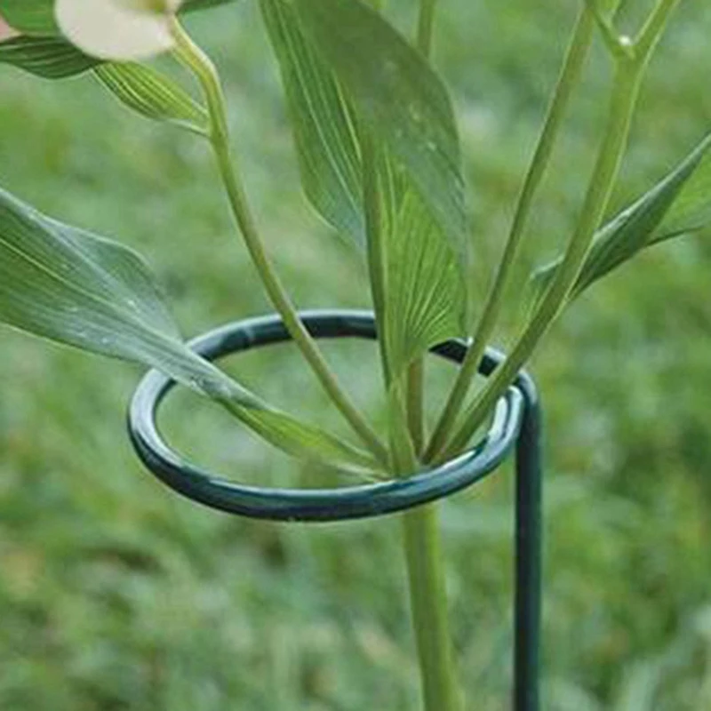 24PCS Beautiful Plant Support Stand Flowers Support Ring Metal Plant Support Stakes Bonsai Support Backyard Garden Tool image 3
