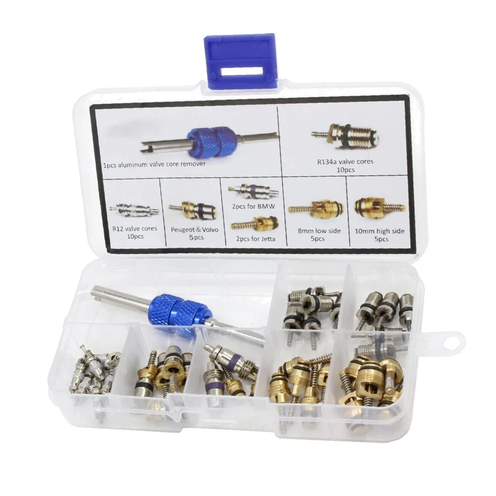 For R134a AC Valve Core Kit 40PCS with Tool for Replacing Cores in Passenger Cars Light Trucks and Motorcycles