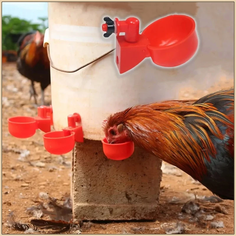 

New Poultry Water Dispenser Chicken Goose Universal Automatic Drinker Plastic Water Feeder Quail Drinker Farm Yard Accessories