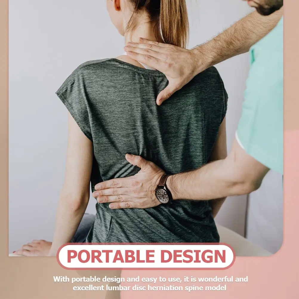 PVC Lumbar Disc Herniation Spine Model Realistic Shape Portable Perfect Teaching Demonstrating Human Anatomy Medical