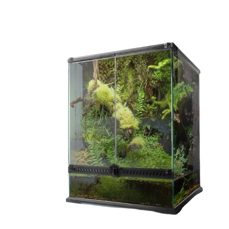 Small Naturalistic Terrarium Rainforest Habitat for Reptile Tortoise Snake Reptil